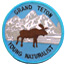 Young Naturalist Patch
