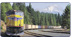 Train passing pines with mountain peaks in the
background.