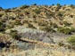 Photo of rock formations in the Karoo Basin in South Africa.