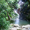 photo of a quiet pool with a waterfall at the far edge and trees and rocks all around