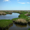 photo of a quiet wetlands under a blue sky