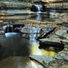 photo of quiet pools of water with small water falls and fallen leaves
