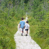 photo of two boys walking away down a boardwalk, surrounded by green trees