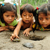 photo of three small children peering closely at two tiny turtles in the sand