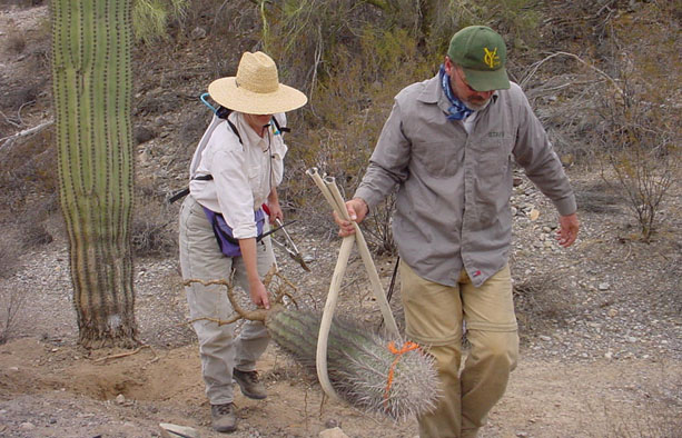 Sue Rutman and a Youth Corps of Southern Arizona memeber.