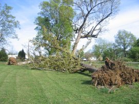 Storm Damage in Jackson County