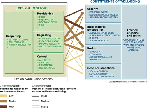 A chart depicting the Relationships among ecosystem services and human well-being