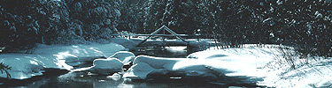 This bridge spanning the Beaver Creek was built by a volunteer group from Madonna University.