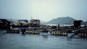 Photo of Fish culture net pens in Xincun Lagoon, 