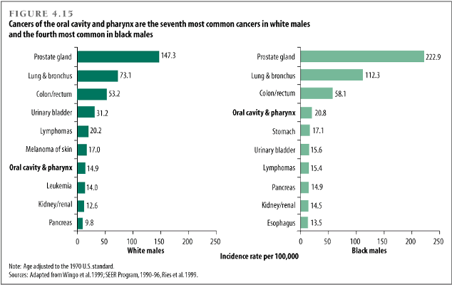 Cancers of the oral cavity and pharynx are the seventh most common cancers in white males and the fourth most common in black males