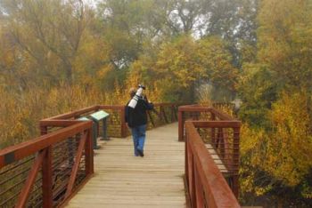 Cosumnes River Preserve Boardwalk