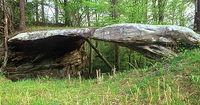 Wagon Arch