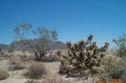 Little Chuckwalla Mountains Wilderness Area