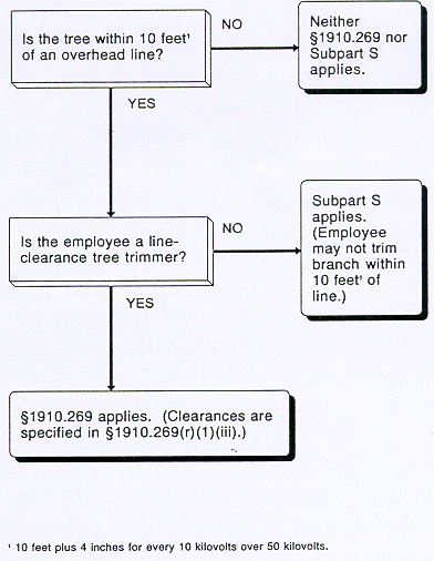 Application of §1910.269 and SubpartS of this Part to Tree-Trimming Operations.