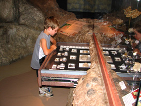 Image of a young visitor looking through a museum drawer.