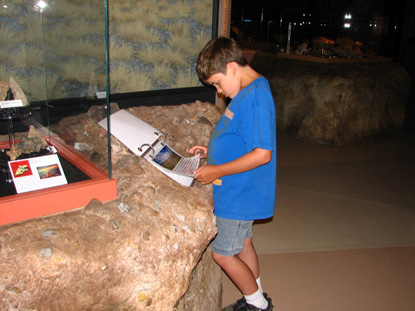 Image of a young visitor looking through the museum.