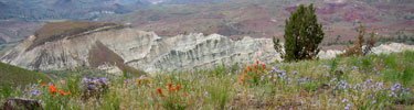 Image from Blue Basin overlook.