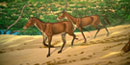 Image of three toed horses.
