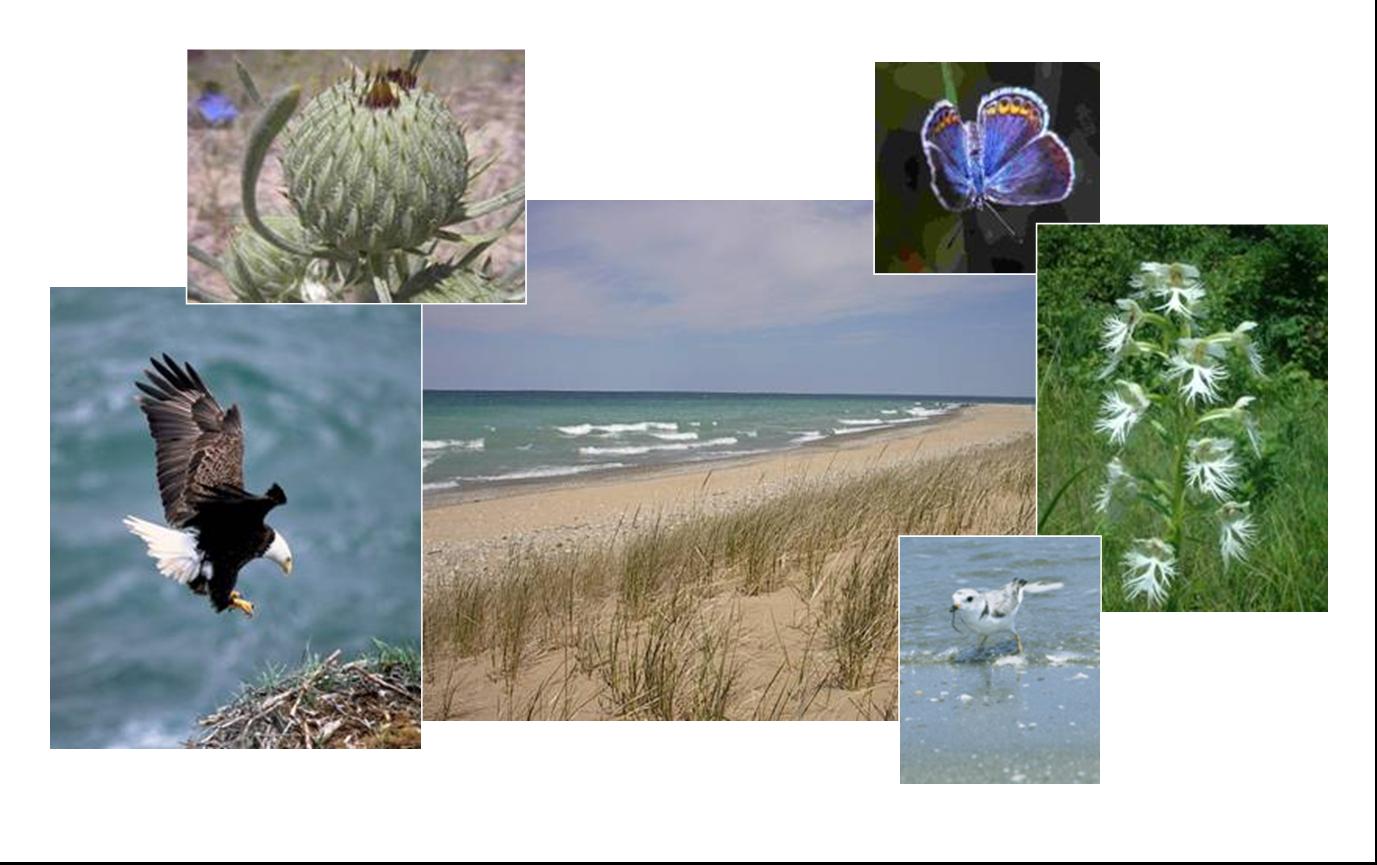 Decorative Photo collage of Michigan scenes and endangered species