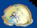 Map of abadonned vessels in the Kure Atoll