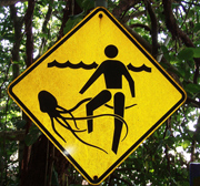 Photo of sign showing stinging tenacles of jellyfish and swimmer.