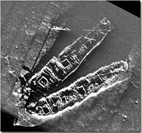 Sonar image of two lost ships in Stellwegen National Marine Sanctuary