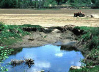agricultural runoff