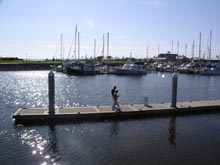 Bellingham Marina