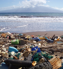 Marine debris on beach