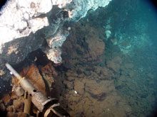 Extreme Microbes from Hydrothermal Vents