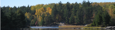 Shoreline in Autumn