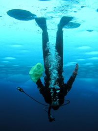 Upside-down Diver in arctic ocean 