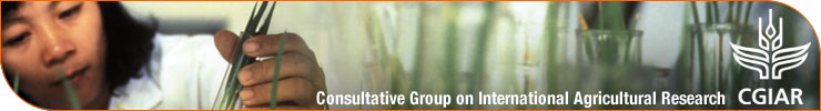 CGIAR: Consultative Group on International Agricultural Research