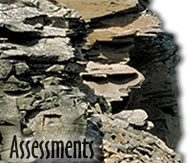 Collage: word "Assessments" on rock face