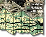 Collage: Generalized cross section showing the type of lateral and horizontal variation found in Wyodak-Anderson coal in the Powder River Basin of Wyoming and Montana. From: USGS Open-File Report 98-0789-B