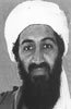 Photograph of Bin Laden
