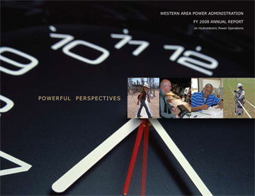 2008 Annual Report cover page