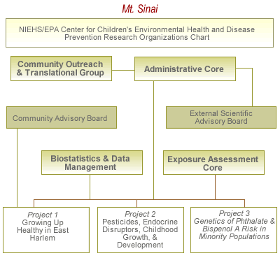 Mt. Sinai Core Diagram