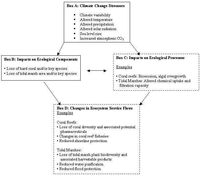 Figure 1. Conceptual diagram of linkages, from climate change stressors to impacts on ecological components and processes, and ecosystem services.