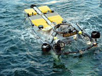 Deep-sea coral samples were collected in the Gulf of Mexico using Harbor Branch Oceanographic Institute's Johnson-Sea-Link submersible. 