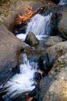 Water flowing over rocks in a stream.