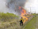 Fire management at a refuge. Credit: USFWS