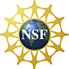 NSF logo