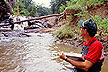 Observing stream corridor habitats