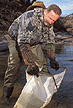 Two biologists collect macroinvertebrates in a Mississippi creek.