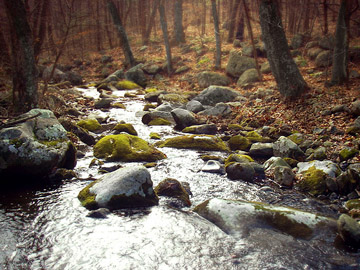 shenandoah refuge