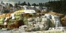 Image of Cleopatra Terrace, Mammoth Hot Springs, Yellowstone