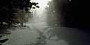 a photo of human tracks in snow and mist