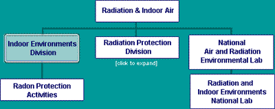 Click for details of  Radiation Protection Division organization.