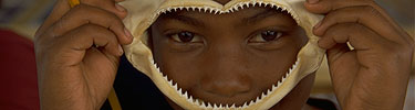 A student peers through shark jaws.